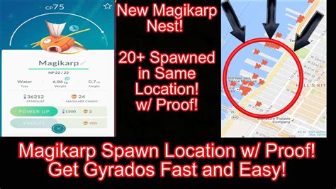 mega nest pokemon go|pokemon go magikarp nest.